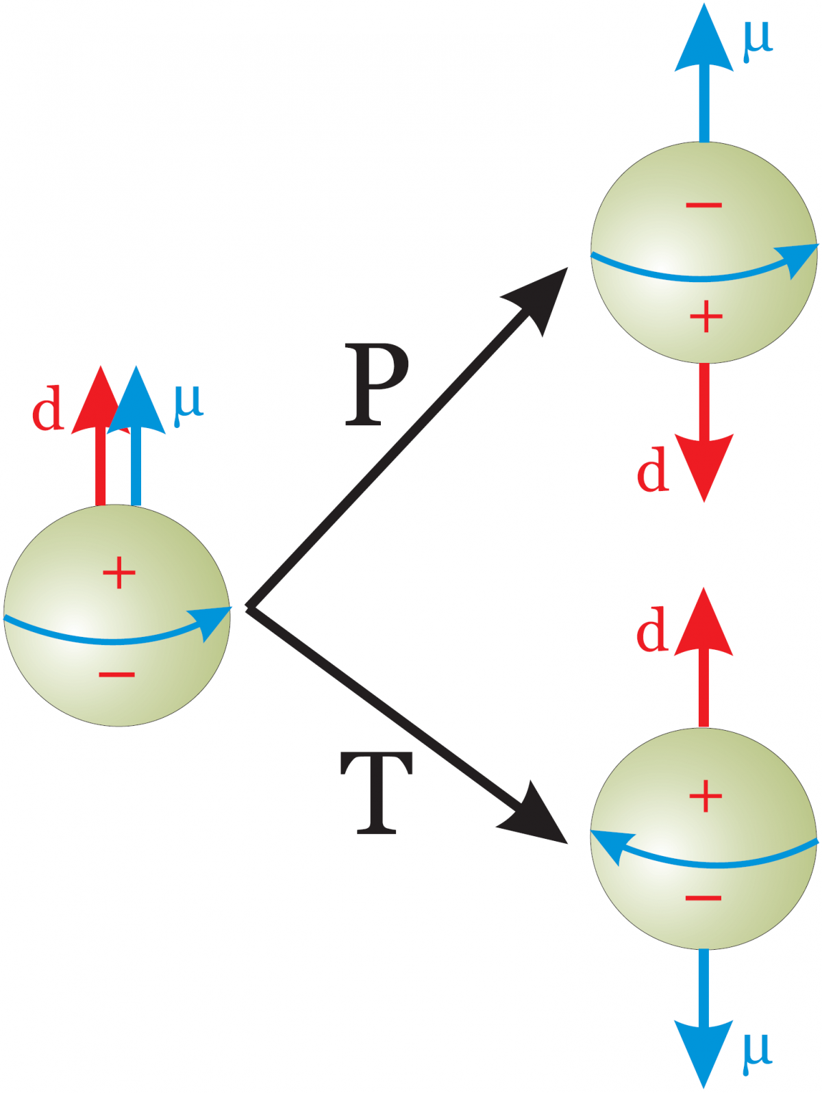 A neutron and its constituent quarks transformed under parity and time reversal, illustrating symmetry violation in the presence of an electric dipole moment.